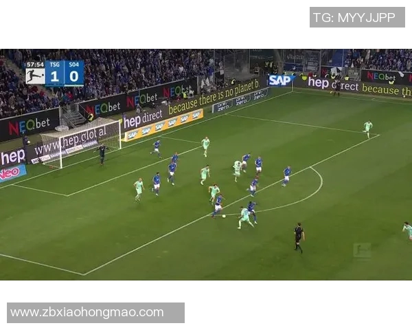 沙尔克04逆袭，胜霍芬海姆，重登胜利之巅