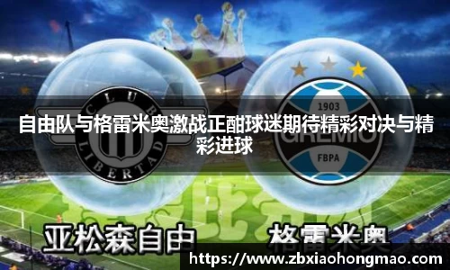 自由队与格雷米奥激战正酣球迷期待精彩对决与精彩进球